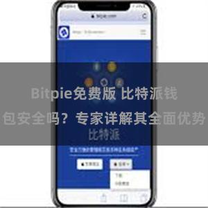 Bitpie免费版 比特派钱包安全吗？专家详解其全面优势