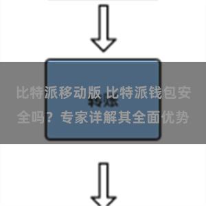 比特派移动版 比特派钱包安全吗？专家详解其全面优势