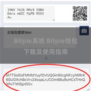 Bitpie系统 Bitpie钱包下载及使用指南