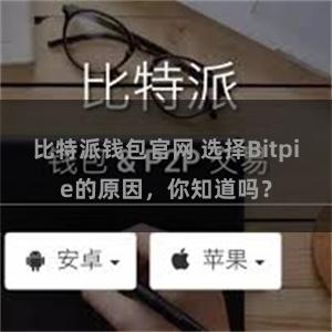 比特派钱包官网 选择Bitpie的原因，你知道吗？