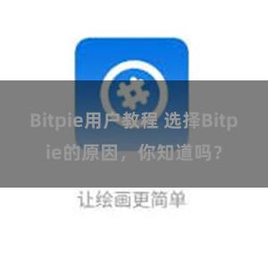 Bitpie用户教程 选择Bitpie的原因，你知道吗？