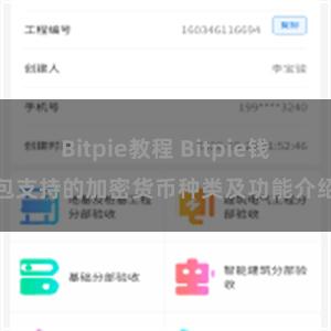 Bitpie教程 Bitpie钱包支持的加密货币种类及功能介绍