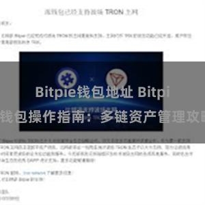 Bitpie钱包地址 Bitpie钱包操作指南：多链资产管理攻略