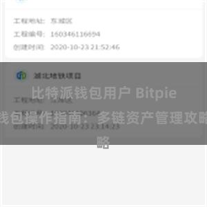 比特派钱包用户 Bitpie钱包操作指南：多链资产管理攻略