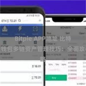 Bitpie APP地址 比特派钱包多链资产管理技巧：全面攻略