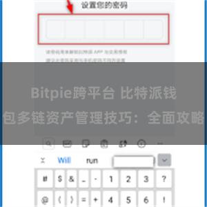 Bitpie跨平台 比特派钱包多链资产管理技巧：全面攻略