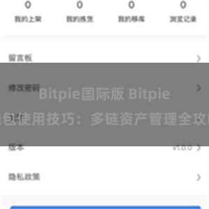 Bitpie国际版 Bitpie钱包使用技巧：多链资产管理全攻略