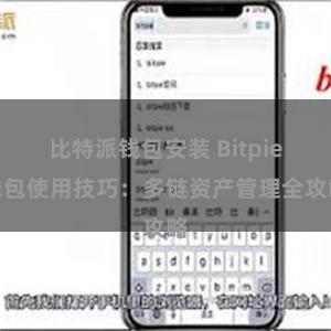 比特派钱包安装 Bitpie钱包使用技巧：多链资产管理全攻略