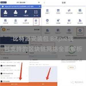 比特派安装包 Bitpie钱包支持的区块链网络全面解析