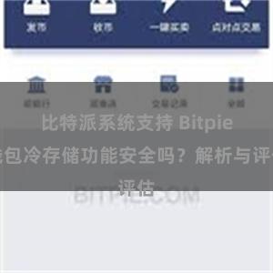 比特派系统支持 Bitpie钱包冷存储功能安全吗？解析与评估