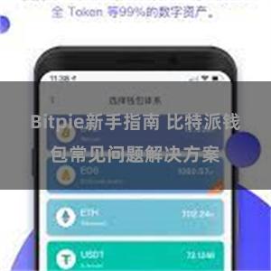 Bitpie新手指南 比特派钱包常见问题解决方案