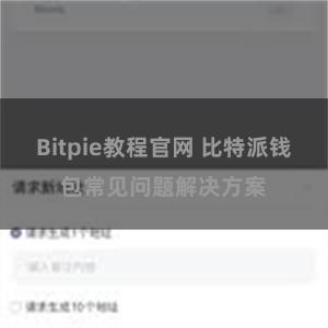 Bitpie教程官网 比特派钱包常见问题解决方案