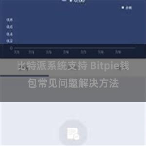 比特派系统支持 Bitpie钱包常见问题解决方法