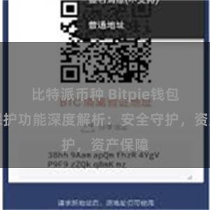 比特派币种 Bitpie钱包隐私保护功能深度解析：安全守护，资产保障