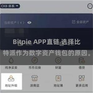 Bitpie APP直链 选择比特派作为数字资产钱包的原因。