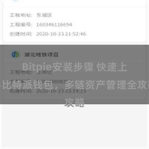 Bitpie安装步骤 快速上手比特派钱包，多链资产管理全攻略