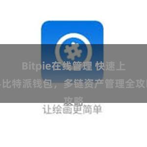 Bitpie在线管理 快速上手比特派钱包，多链资产管理全攻略