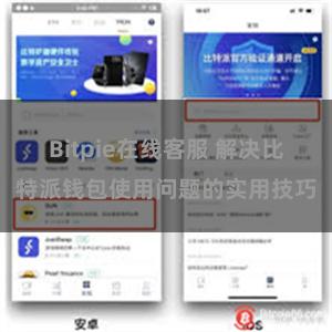 Bitpie在线客服 解决比特派钱包使用问题的实用技巧