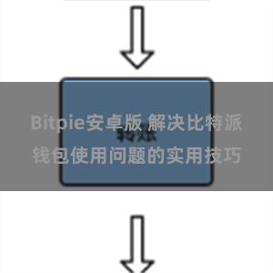 Bitpie安卓版 解决比特派钱包使用问题的实用技巧