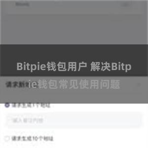 Bitpie钱包用户 解决Bitpie钱包常见使用问题