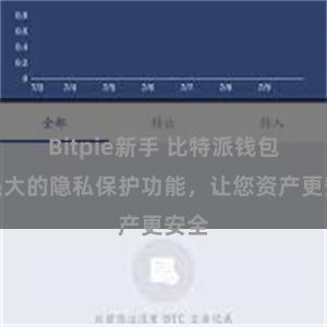 Bitpie新手 比特派钱包：强大的隐私保护功能，让您资产更安全