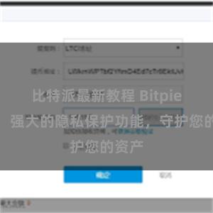 比特派最新教程 Bitpie钱包：强大的隐私保护功能，守护您的资产