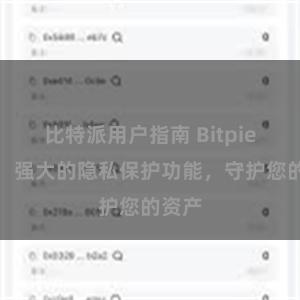 比特派用户指南 Bitpie钱包：强大的隐私保护功能，守护您的资产