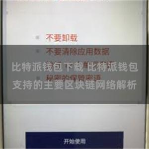 比特派钱包下载 比特派钱包支持的主要区块链网络解析