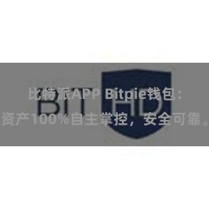 比特派APP Bitpie钱包：资产100%自主掌控，安全可靠。