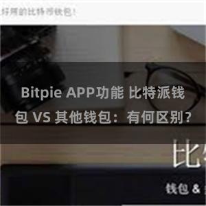 Bitpie APP功能 比特派钱包 VS 其他钱包：有何区别？