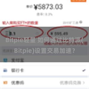 Bitpie轻量 如何通过比特派(Bitpie)设置交易加速？