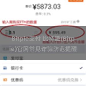 Bitpie支付 比特派(Bitpie)官网常见诈骗防范提醒