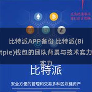 比特派APP备份 比特派(Bitpie)钱包的团队背景与技术实力