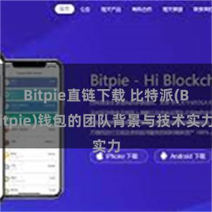 Bitpie直链下载 比特派(Bitpie)钱包的团队背景与技术实力