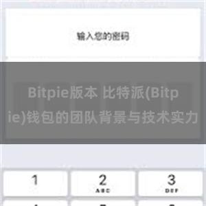 Bitpie版本 比特派(Bitpie)钱包的团队背景与技术实力