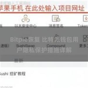 Bitpie恢复 比特派钱包用户隐私保护措施详解