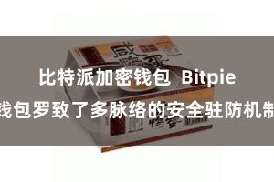 比特派加密钱包  Bitpie钱包罗致了多脉络的安全驻防机制